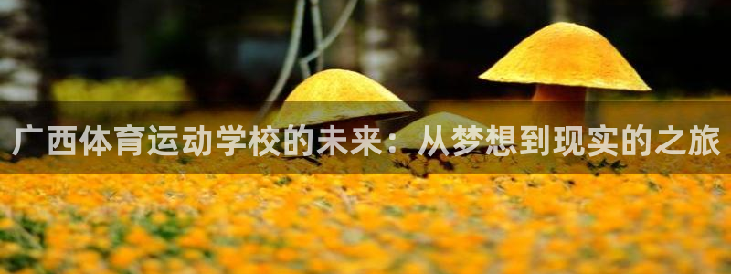 yy易游官方正版app科技:广西体育运动学校的未来:从梦想到