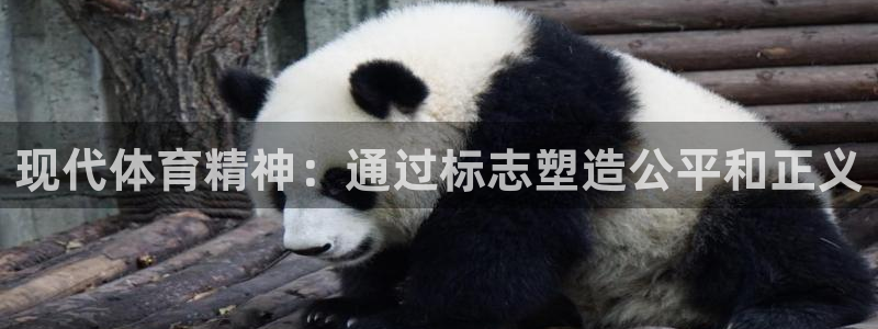 yy易游官网下载注册:现代体育精神:通过标志塑造公平和正义