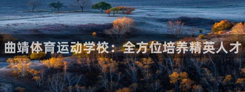 yy易游官网下载招商电话:曲靖体育运动学校:全方位培养精英人