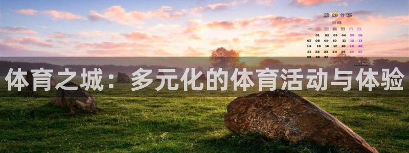 yy易游官方正版app集团官网首页网址:体育之城:多元化的体